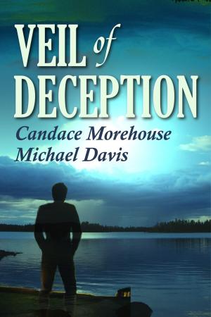 Book cover of Veil Of Deception