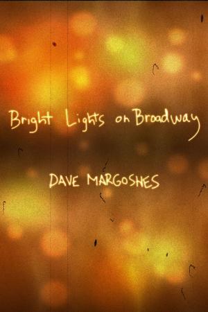 Cover of the book Bright Lights on Broadway by Maria Meindl
