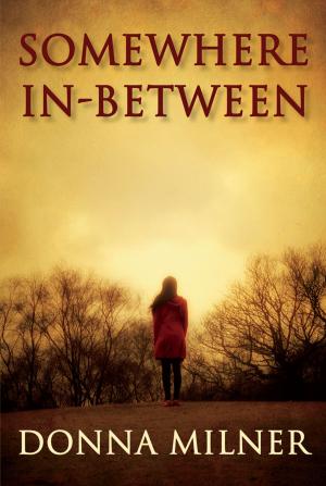 Cover of the book Somewhere In-Between by Rosella Leslie