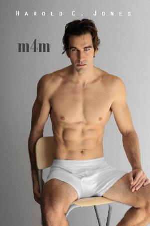 Cover of the book m4m by Ian W. Cooper
