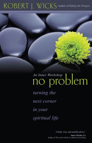 Book cover of No Problem