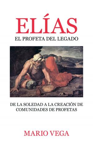 Cover of the book Elías by Joel Comiskey, Jim Egli