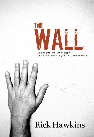 Cover of the book The Wall by Glenn D. Frazier