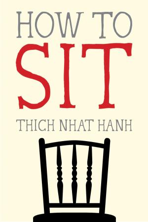 Cover of the book How to Sit by Sister Chan Khong