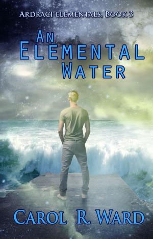 Cover of the book An Elemental Water by Anna Butler