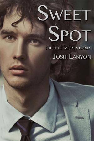 Cover of the book Sweet Spot by Josh Lanyon, Nicole Kimberling, C.S. Poe, L.B. Gregg, Meg Perry, S.C. Wynne, Z.A. Maxfield, Dal MacLean