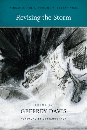 Cover of the book Revising the Storm by Naomi Shihab Nye