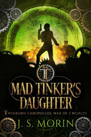Cover of the book Mad Tinker's Daughter by K. A. Krantz