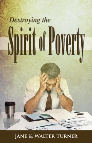 bigCover of the book Destroying the Spirit of Poverty by 