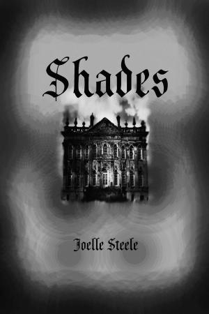 Cover of the book Shades by Amily Clark