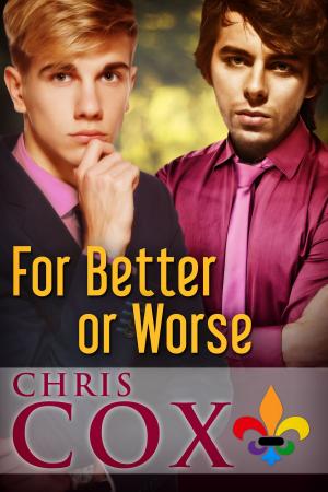 Cover of the book For Better Or Worse by Amera Andersen