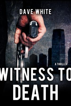 Cover of the book Witness To Death by J.D. Rhoades