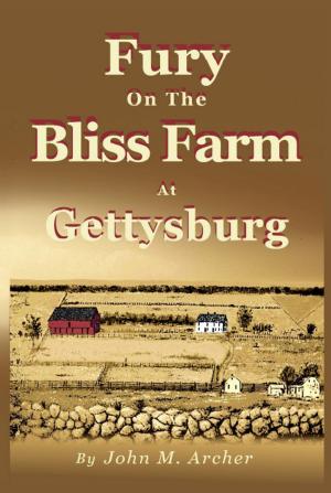 Book cover of Fury on the Bliss Farm at Gettysburg