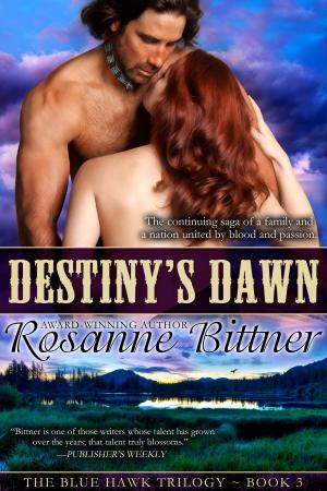 Cover of the book Destiny's Dawn by Deborah Chester