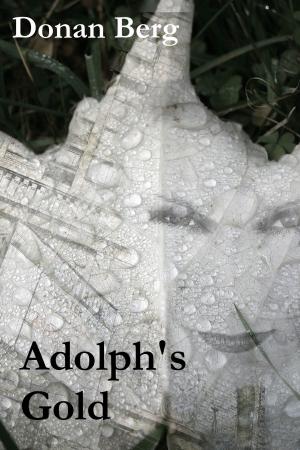 Cover of the book Adolph's Gold by Nidhi Singh