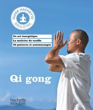 bigCover of the book Qi gong by 