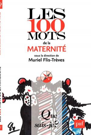 Cover of the book Les 100 mots de la maternité by Antoine Garapon, Michel Rosenfeld