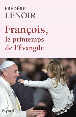 Cover of the book François, le printemps de l'Evangile by Janine Boissard