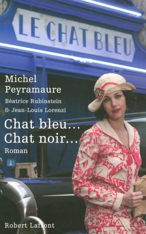Book cover of Chat bleu... Chat noir...