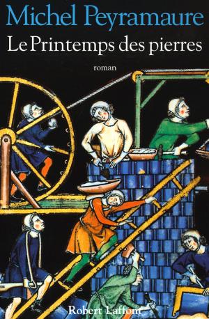 Cover of the book Le Printemps des pierres by Marek HALTER