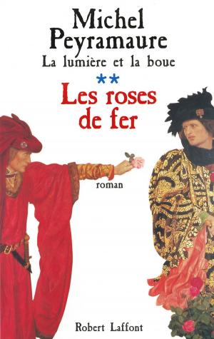 Cover of the book La Lumière et la boue - Tome 2 by Lorraine FOUCHET