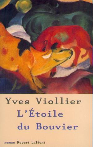 Cover of the book L'Étoile du bouvier by Philippe BESSON