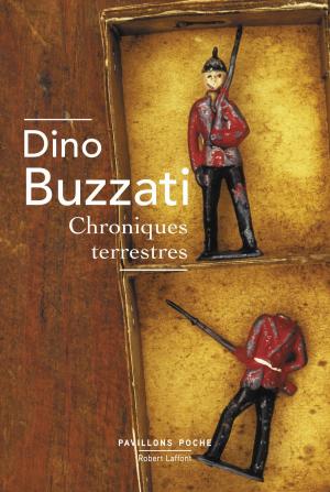 Cover of the book Chroniques terrestres by Patrick POIVRE D'ARVOR