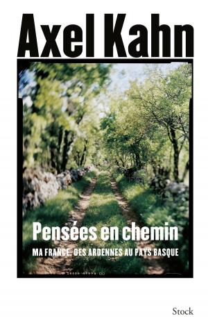Cover of the book Pensées en chemin by Alain Finkielkraut
