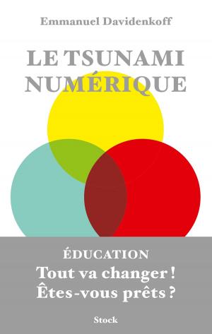 Cover of the book Le tsunami numérique by Hubert Mingarelli