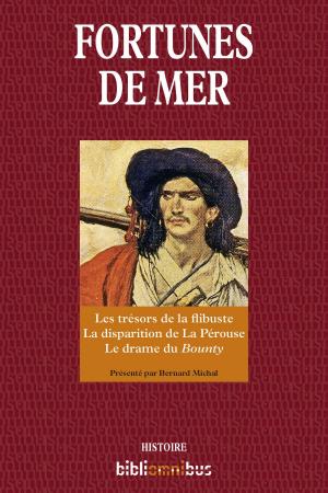 Cover of the book Fortunes de mer by Didier CORNAILLE