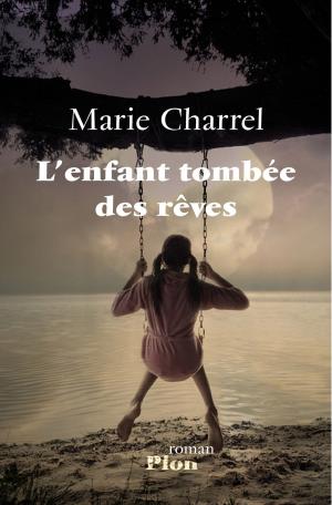 Cover of the book L'enfant tombée des rêves by Maud FONTENOY