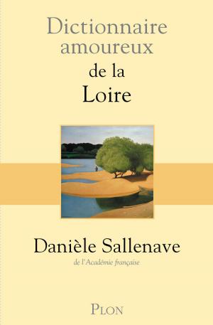 Cover of the book Dictionnaire amoureux de la Loire by Allison PEARSON