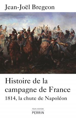 Cover of the book Histoire de la campagne de France by Annie BRUEL