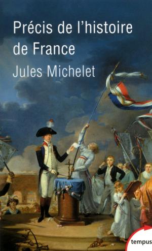 Cover of the book Précis de l'histoire de France by Jean ANGLADE