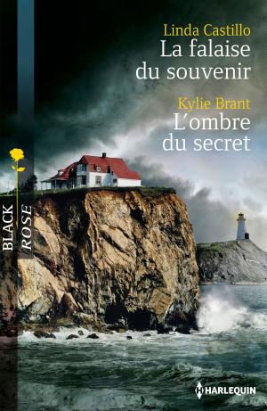 Cover of the book La falaise du souvenir - L'ombre du secret by Pamela Morsi