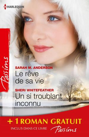 Book cover of Le rêve de sa vie - Un si troublant inconnu - Deux jours pour s'aimer
