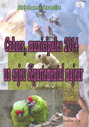 Cover of the book Cahors, municipales 2014 : un enjeu départemental majeur by Jean Pierre Mariojouls
