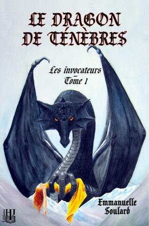Cover of the book Le dragon de ténèbres (Les invocateurs - tome 1) by Mélanie WENCY