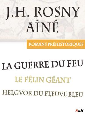 Book cover of La Guerre du Feu et autres romans préhistoriques de J.H. Rosny Aîné