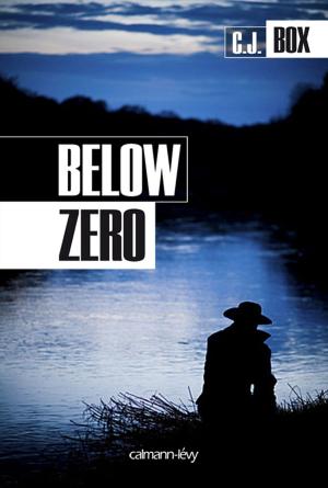 Cover of the book Below zero by Mark Benjamin