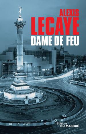 Cover of the book Dame de feu by Stanislas-André Steeman