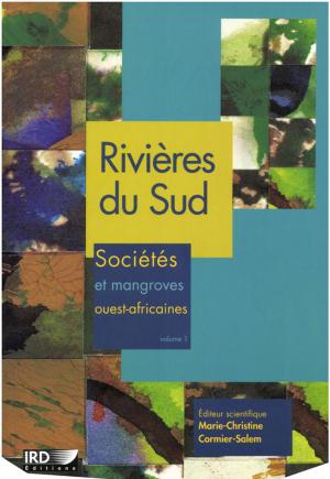 Cover of the book Rivières du Sud by Collectif