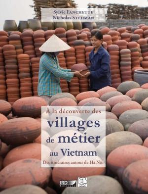 Cover of the book À la découverte des villages de métier au Vietnam by Bocar Sané, André Garcia, Claude Laveissière