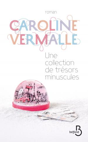 Cover of the book Une collection de trésors minuscules by Olivier PITON