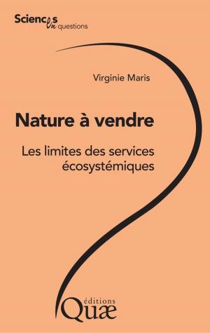 Cover of the book Nature à vendre by Michel Lang, Jacques Lavabre