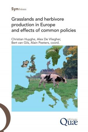 Cover of the book Grasslands and herbivore production in Europe and effects of common policies by André Gallais