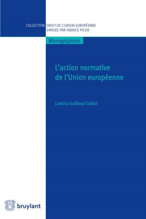 Cover of the book L'action normative de l'Union européenne by Stefan Goltzberg, Benoit Frydman