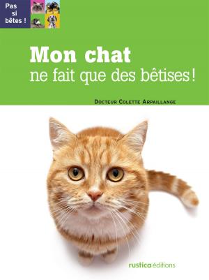 Cover of the book Mon chat ne fait que des bêtises ! by Vincent Desbois
