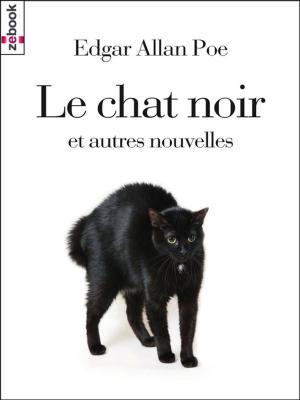 Cover of Le chat noir