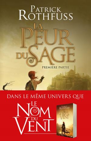 Book cover of La Peur du sage - Première partie